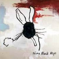 Nine Black Alps – Everything Is (CD)