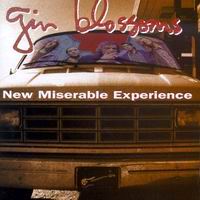 Gin Blossoms – New Miserable Experience (CD)
