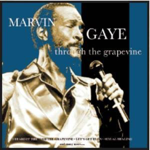 Marvin Gaye – Through The Grapevine (CD)