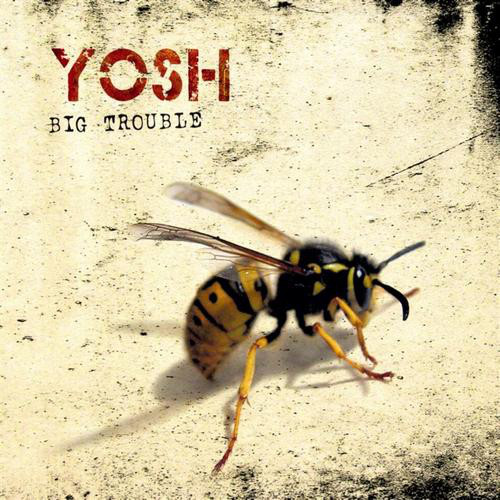 Zosh – Big Brother (CD)
