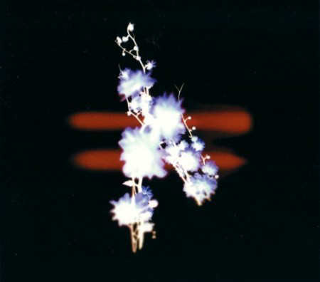 Turn – Forward (CD)