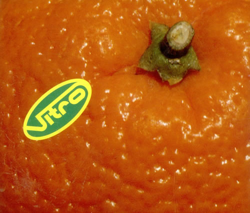 Vitro – Orange (CDS)