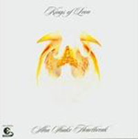 Kings Of Leon - Aha Shake Heartbreak