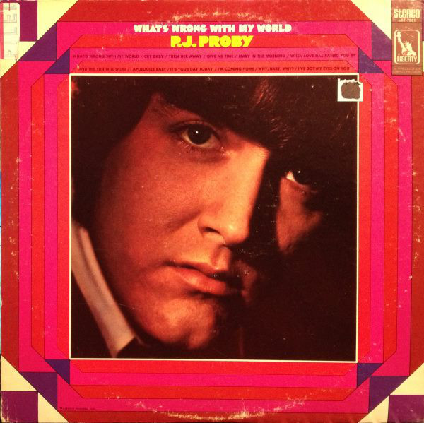 What’s Wrong With My World (LP)