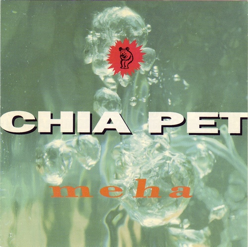 Chia Pet - Meha