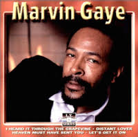 Marvin Gaye – Sexual Healing (CD)