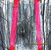 Lautrec – Metemsomathosis (CD)