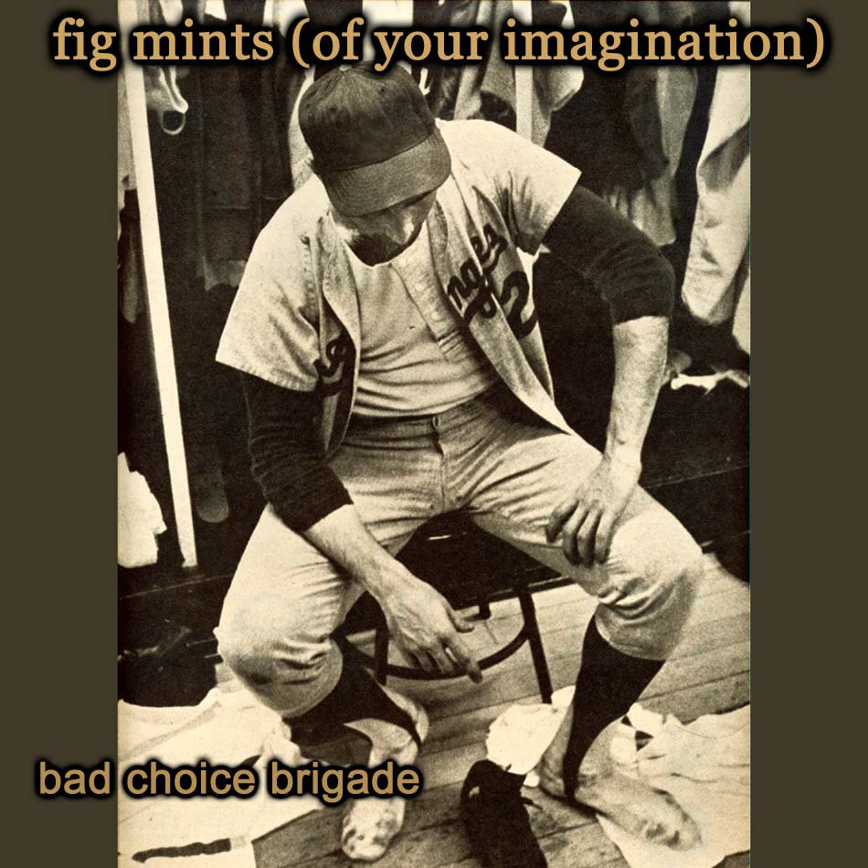 Fig Mints (Of Your Imagination) – Bad Choice Brigade (CD)