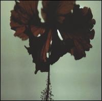 DK7 – Disarmed (CD)