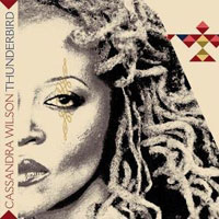 Cassandra Wilson – Thunderbird (CD)