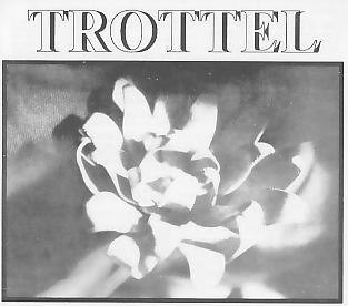 Trottel - The Final Salute In The Name Of Human Misery