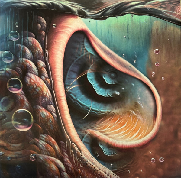 Válogatás – Meddle Reimagined: A Tribute To Pink Floyd (CD)