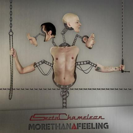 Secta Chameleon - More Than A Feeling