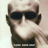David Gray – Flesh (CD)